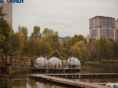 Подсчитана доля воронежцев, способных осилить ипотеку 