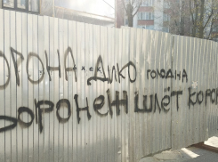 Юмористическая надпись против коронавируса появилась на заборе в Воронеже