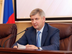 Александр Гусев велел не превращать в «игрушки» поддержку малого бизнеса