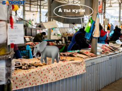 Все говорят не могу, а ты купи слона: Воронежу немедленно требуются талантливые менеджеры 