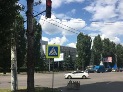 Мэрия Воронежа разобралась с деревом, которое мешало светофору