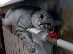 Мэрия Воронежа: В 32% воронежских домов включили отопление