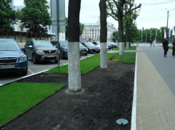 Чиновники не жалеют денег на благоустройство территорий у административных зданий в центре Воронежа