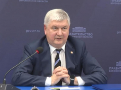 «Они не смотрят в сторону России»: воронежский губернатор о мигрантах из Узбекистана