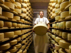 До конца весны в Воронежской области начнут строить сырозавод за 600 млн рублей