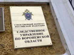 Раскрыты подробности падения пятилетнего мальчика из окна под Воронежем