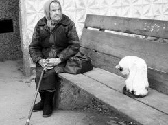 Под Воронежем бывший уголовник избил и ограбил пенсионерку