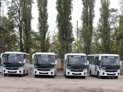 Два десятка новых автобусов заменят «Газели» на одном из маршрутов в Воронеже