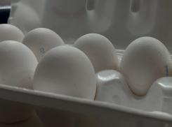 Куриных яиц становится все меньше на воронежских птицефабриках 