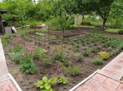 Воронежца приговорили к 9-ти годам за убийство мужчины во время ссоры на даче