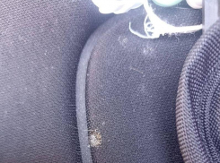 Горящий окурок прилетел в детскую коляску в Воронеже