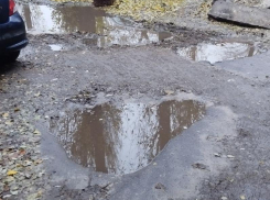 Кругом болото: непроходимый двор показали в Воронеже