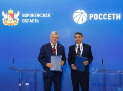 «Россети» и Воронежская область договорились о сотрудничестве в сфере технологического развития и импортозамещения