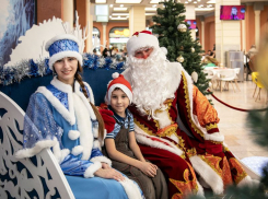 Резиденция Деда Мороза открылась в Центре Галереи Чижова 