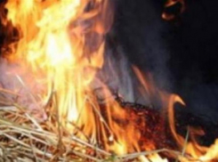 В Таловском районе в сенохранилище сгорело 400 тонн сена