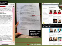 Информацию о школьных съемках в поддержку Путина опровергли в Воронеже