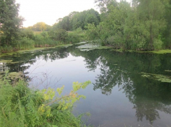 Москвичам доверят проект расчистки воронежской реки за 3 млн 