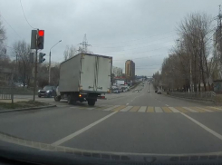 Собаки оказались порядочнее газелиста на дороге в Воронеже