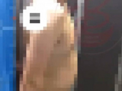 Дергал ручки дверей и оголял достоинство: о странном соседе сообщили воронежцы