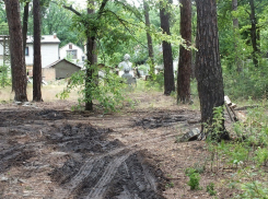 Депутаты Воронежской городской Думы прохлопали продажу детских лагерей под коттеджную застройку?