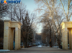 День зимних видов спорта пройдет в Центральном парке Воронежа