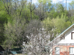 До +9: долгожданное мартовское тепло заглянет в Воронеж