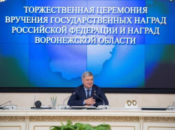 Губернатор Гусев нашел, за что наградить воронежских депутатов