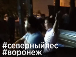 Воронежцы уничтожили забор у Северного леса под шквал аплодисментов