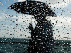 На рабочей неделе в Воронеже похолодает до +19 