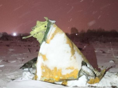 Названы первые версии крушения воронежского Ан-148 в Подмосковье