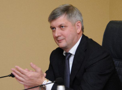 Воронежцы проголосовали за переименование аэропорта в «Прогибалово» им. Гусева