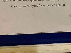 Воронежцев назвали безвольными овощами от имени УК