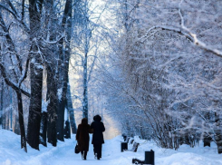 Синоптики рассказали, когда в Воронеж вернутся ярые морозы 