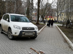 Быдло-парковку устроили автомобилисты на аллее в центре Воронежа