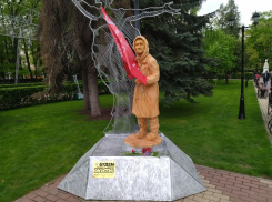 Памятник «бабушке с красным флагом» установили в центре Воронежа в День Победы