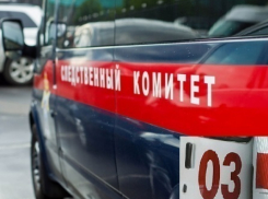 В Воронежской области мужчина потратил деньги и убил мать за упрек