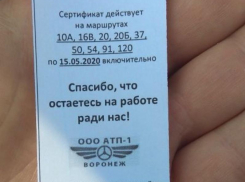 Воронежским медикам подарили бесплатный проезд, но не во всех маршрутках