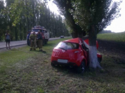 В Каменском районе женщина на «Мазде» врезалась в дерево
