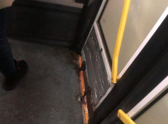 Всю жизнь о таком мечтал: пассажир рассказал о своей поездке в автобусе с «воронежским бризом»