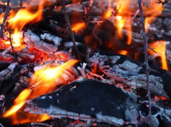 В Воронежской области произошло восемь ландшафтных пожаров