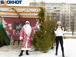 В Новый год у Вики будет большая и красивая