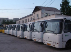 Нелегальные пассажирские перевозки принесли директору автопарка в Воронежской области 18 миллионов рублей 