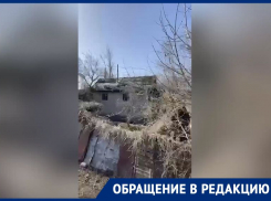На собачий «Освенцим» пожаловались в прокуратуру жители Воронежа