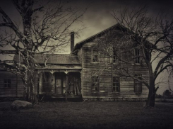 В Воронежской области полицейские разыскали 9-летнего мальчика-бродягу