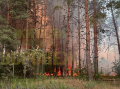 Сильный пожар разгорелся в Воронеже