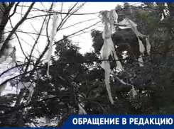 «Я боюсь за внучку»: как выглядит детская площадка в воронежском дворе, показали на видео