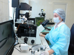 Через искусственное оплодотворение за полгода родилось 172 воронежца