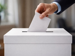 32 года назад появилась действующая электоральная система в Воронежской области
