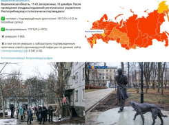 Коронавирус в Воронеже 19 декабря: +36 смертей, очередь на почте и открытие «Орленка»