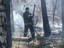 Опубликованы фото мощного ландшафтного пожара в Воронеже